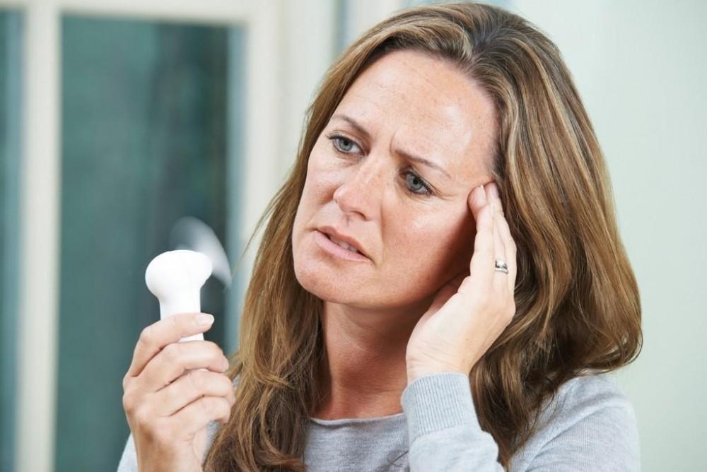 menopause support supplements
