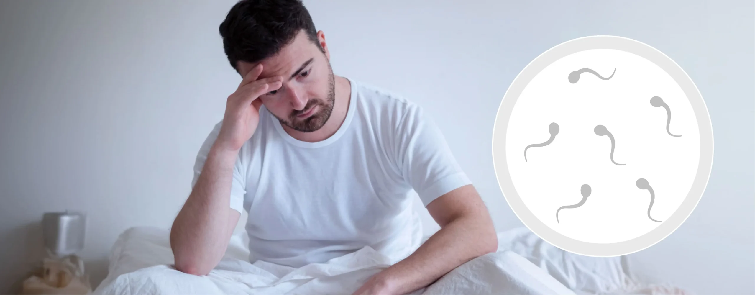 Improving Male Fertility: How L-Carnitine and CoQ10 Can Help In Patients With Asthenozoospermia (Low Sperm Motility)!